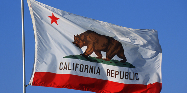 California-State-Flag-600x300
